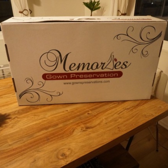 BLISS MONIQUE LHUILLIER Lace Plunge Neck Trumpet - Picture 6 of 6